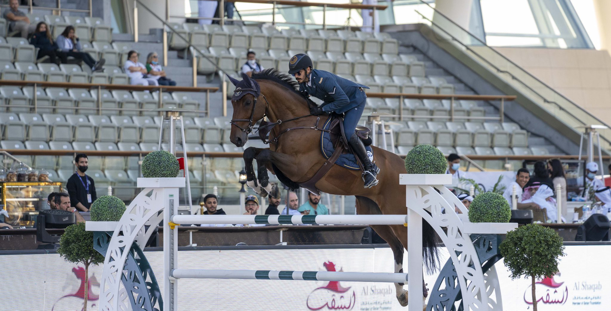 Paris Olympics 2024 Showjumping Barby Carlynn